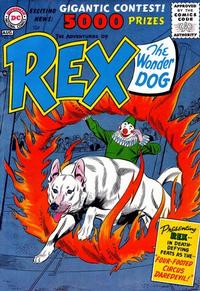 Cover Thumbnail for The Adventures of Rex the Wonder Dog (DC, 1952 series) #28