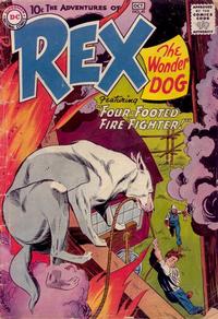 Cover for The Adventures of Rex the Wonder Dog (DC, 1952 series) #41