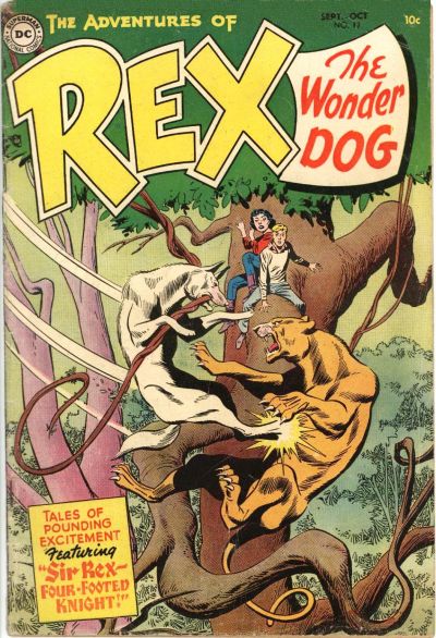 Cover for The Adventures of Rex the Wonder Dog (DC, 1952 series) #17