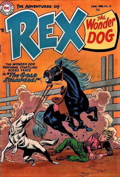 Cover for The Adventures of Rex the Wonder Dog (DC, 1952 series) #19
