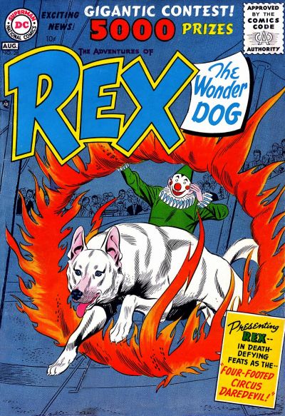 Cover for The Adventures of Rex the Wonder Dog (DC, 1952 series) #28