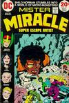 Cover for Mister Miracle (DC, 1971 series) #16