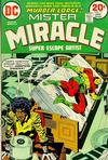 Cover for Mister Miracle (DC, 1971 series) #17