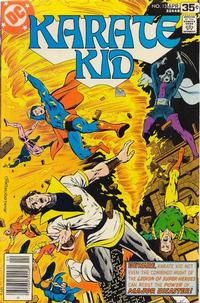 Cover Thumbnail for Karate Kid (DC, 1976 series) #13
