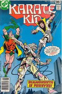 Cover Thumbnail for Karate Kid (DC, 1976 series) #14