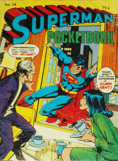 Cover for Superman Pocketbook (Egmont/Methuen, 1976 series) #19