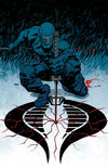 Cover for G.I. Joe (IDW, 2008 series) #3 [Cover RI]