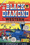 Cover for Black Diamond Western (Superior, 1949 series) #20