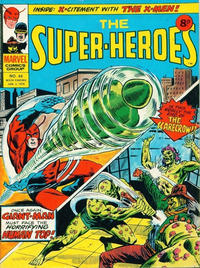Cover Thumbnail for The Super-Heroes (Marvel UK, 1975 series) #44