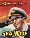 Cover for Commando (D.C. Thomson, 1961 series) #623