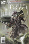 Cover for Dungeons & Dragons: The Legend of Drizzt: Neverwinter Tales (IDW, 2011 series) #1 [Newsstand]