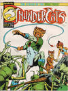 Cover for ThunderCats (Marvel UK, 1987 series) #14