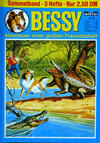 Cover for Bessy Sammelband (Bastei Verlag, 1965 series) #69