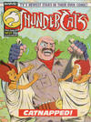 Cover for ThunderCats (Marvel UK, 1987 series) #27