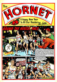 Cover Thumbnail for The Hornet (D.C. Thomson, 1963 series) #17