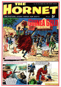 Cover Thumbnail for The Hornet (D.C. Thomson, 1963 series) #119