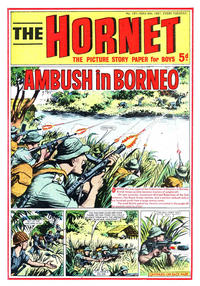 Cover Thumbnail for The Hornet (D.C. Thomson, 1963 series) #191