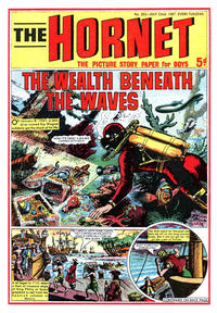 Cover Thumbnail for The Hornet (D.C. Thomson, 1963 series) #202