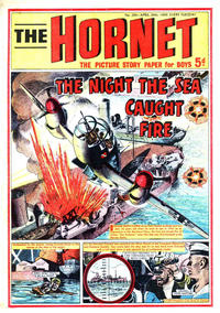 Cover Thumbnail for The Hornet (D.C. Thomson, 1963 series) #294