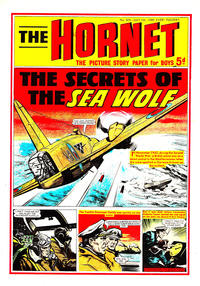 Cover Thumbnail for The Hornet (D.C. Thomson, 1963 series) #304