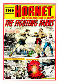 Cover Thumbnail for The Hornet (D.C. Thomson, 1963 series) #316