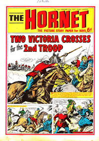 Cover Thumbnail for The Hornet (D.C. Thomson, 1963 series) #333