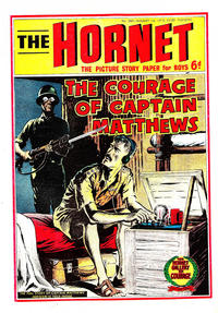 Cover for The Hornet (D.C. Thomson, 1963 series) #360