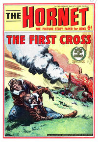Cover Thumbnail for The Hornet (D.C. Thomson, 1963 series) #382