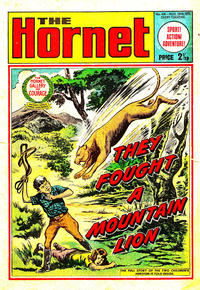 Cover Thumbnail for The Hornet (D.C. Thomson, 1963 series) #416