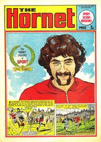 Cover Thumbnail for The Hornet (D.C. Thomson, 1963 series) #453