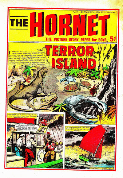 Cover for The Hornet (D.C. Thomson, 1963 series) #171