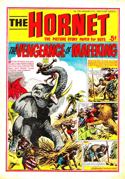 Cover for The Hornet (D.C. Thomson, 1963 series) #229