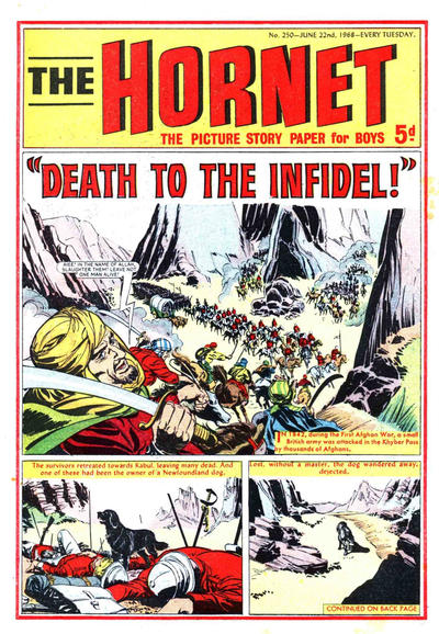 Cover for The Hornet (D.C. Thomson, 1963 series) #250