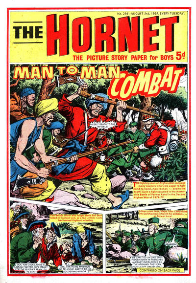 Cover for The Hornet (D.C. Thomson, 1963 series) #256