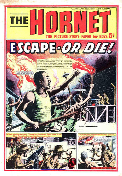 Cover for The Hornet (D.C. Thomson, 1963 series) #293
