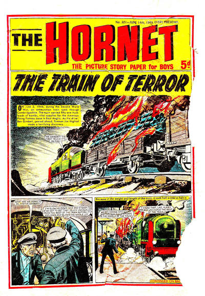 Cover for The Hornet (D.C. Thomson, 1963 series) #301