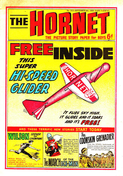 Cover for The Hornet (D.C. Thomson, 1963 series) #313