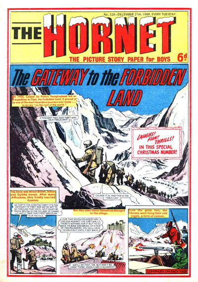 Cover for The Hornet (D.C. Thomson, 1963 series) #329