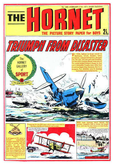 Cover for The Hornet (D.C. Thomson, 1963 series) #390