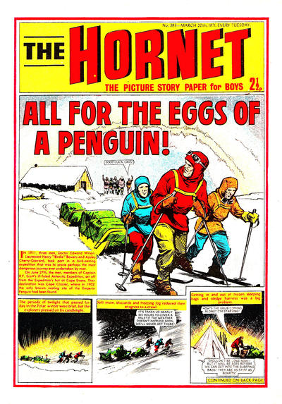 Cover for The Hornet (D.C. Thomson, 1963 series) #393