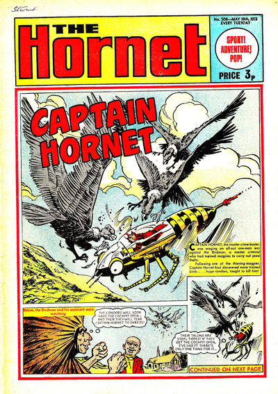 Cover for The Hornet (D.C. Thomson, 1963 series) #506