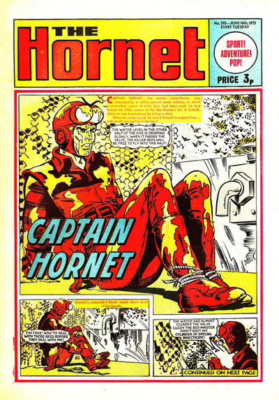 Cover for The Hornet (D.C. Thomson, 1963 series) #510