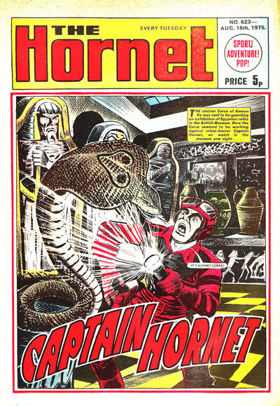 Cover for The Hornet (D.C. Thomson, 1963 series) #623