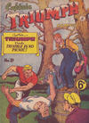 Cover for Captain Triumph Comics (K. G. Murray, 1947 series) #19