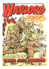 Cover for Warlord (D.C. Thomson, 1974 series) #207