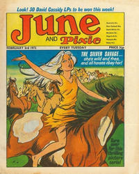 Cover Thumbnail for June and Pixie (IPC, 1973 series) #3 February 1973