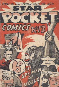 Cover Thumbnail for Star Pocket Comics (Frank Johnson Publications, 1942 ? series) #13
