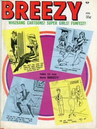 Cover Thumbnail for Breezy (Marvel, 1969 series) #v10#18