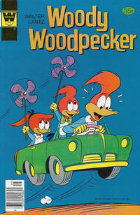 Cover for Walter Lantz Woody Woodpecker (Western, 1962 series) #166 [Whitman]