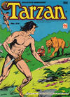 Cover for Edgar Rice Burroughs' Tarzan (K. G. Murray, 1980 series) #20